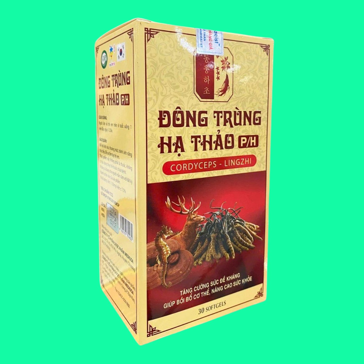 dong-trung-ha-thao-p-h-3 Đông Trùng Hạ Thảo P/H