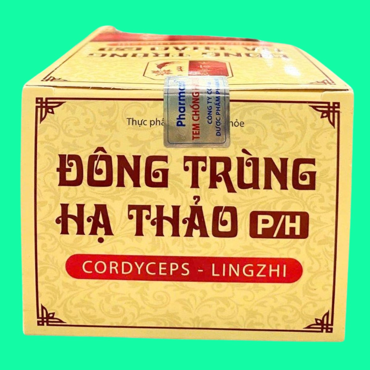 dong-trung-ha-thao-p-h-6 Đông Trùng Hạ Thảo P/H