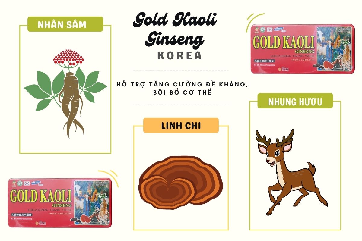 Gold Kaoli Ginseng