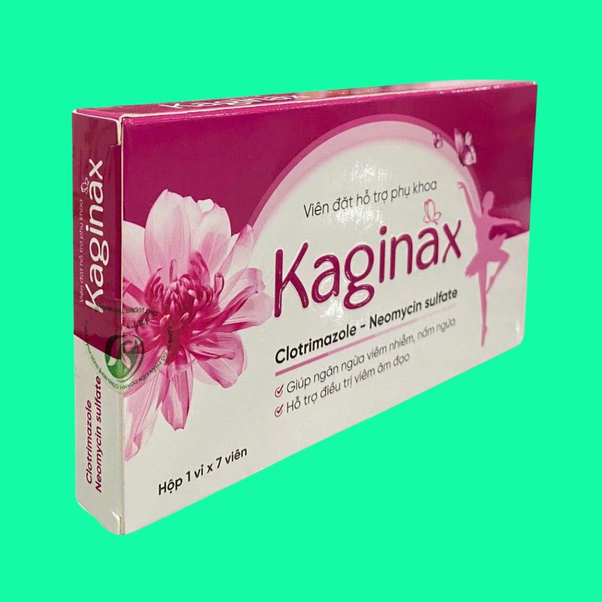 kaginax-2 Kaginax