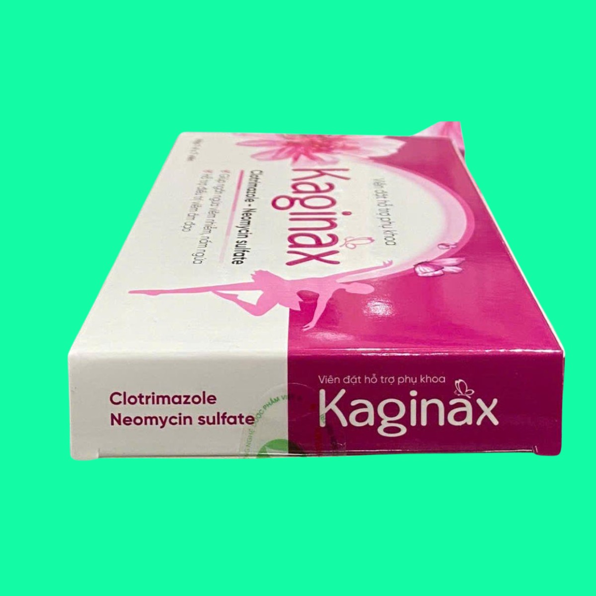 kaginax-5 Kaginax