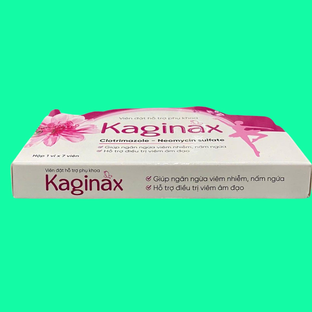 kaginax-6 Kaginax