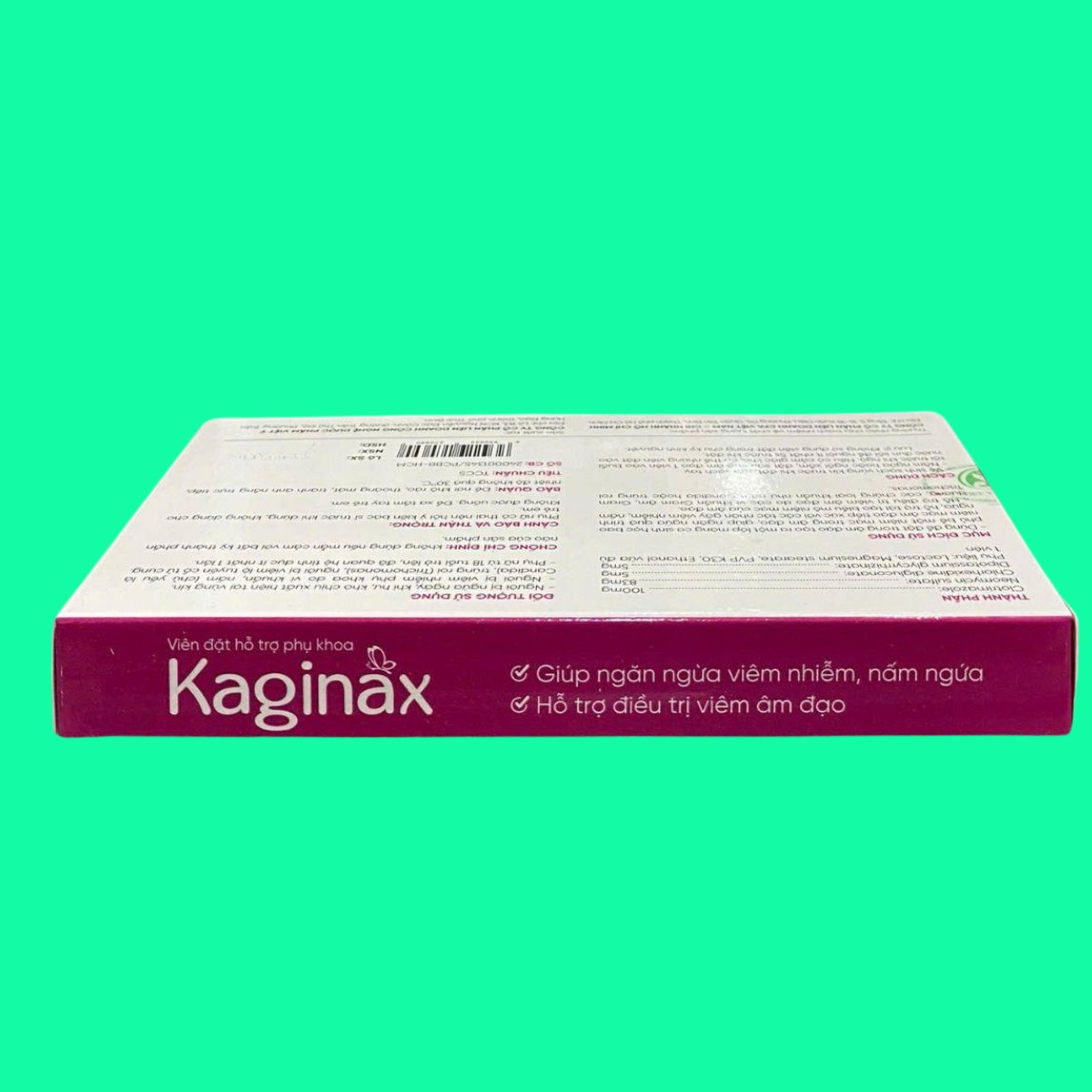 kaginax-7 Kaginax