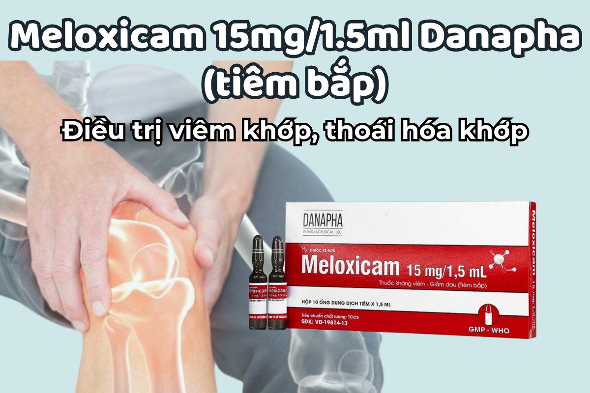 Dung dịch tiêm Meloxicam 15mg/1.5ml Danapha 10 Dung dịch tiêm Meloxicam 15mg/1.5ml Danapha điều trị viêm khớp, thoái hóa khớp
