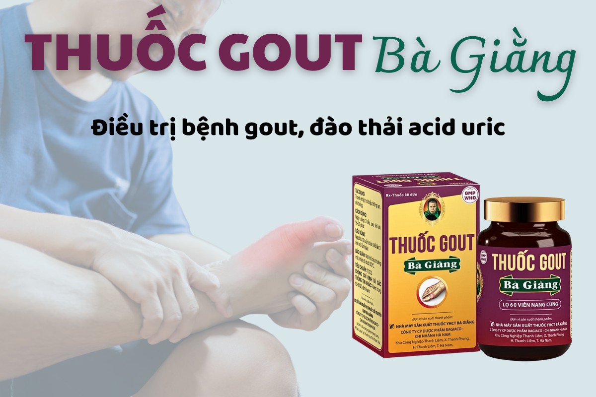 Thuốc Gout Bà Giằng điều trị bệnh gout và đào thải acid uric trong máu