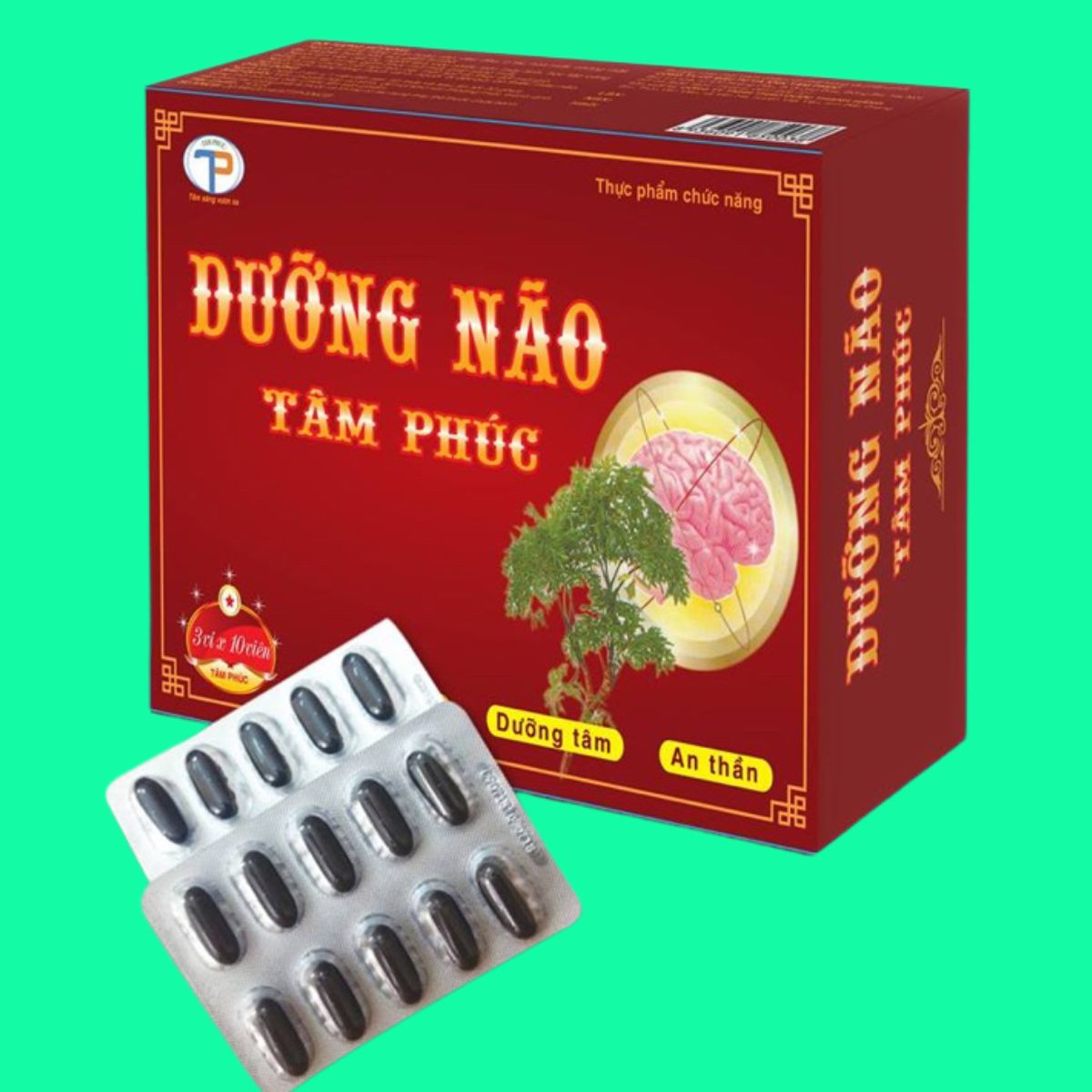 Dưỡng não Tâm Phúc-1 Dưỡng não Tâm Phúc