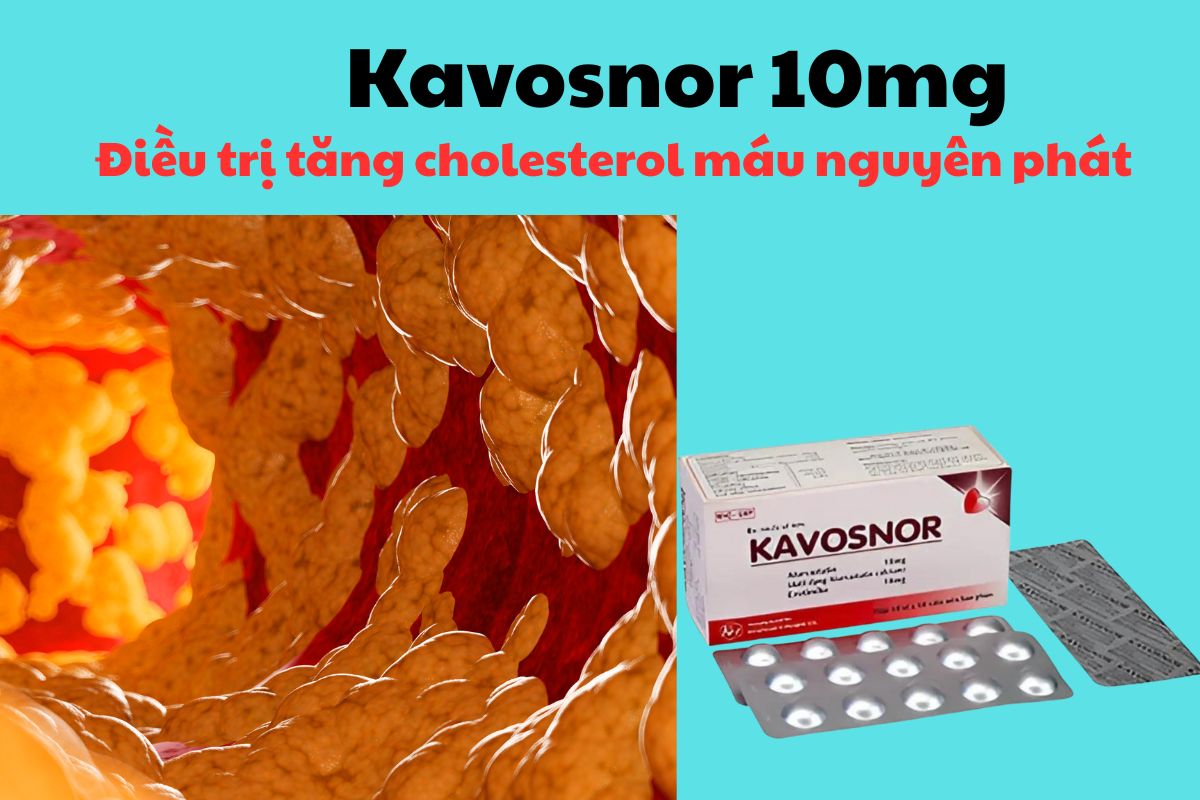 Thuốc Kavosnor có tác dụng giảm cholesterol toàn phần, LDL-C, triglycerid và apolipoprotein B 