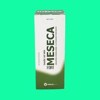 Meseca Fort