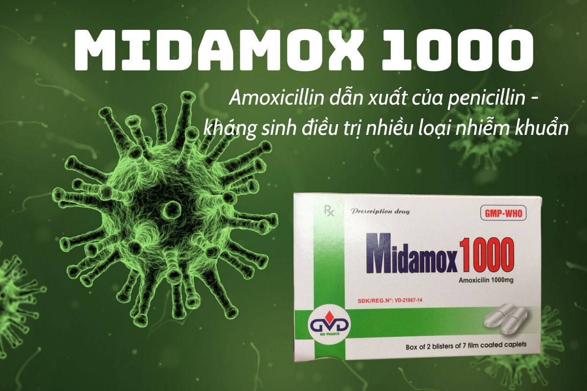 Midamox 1000
