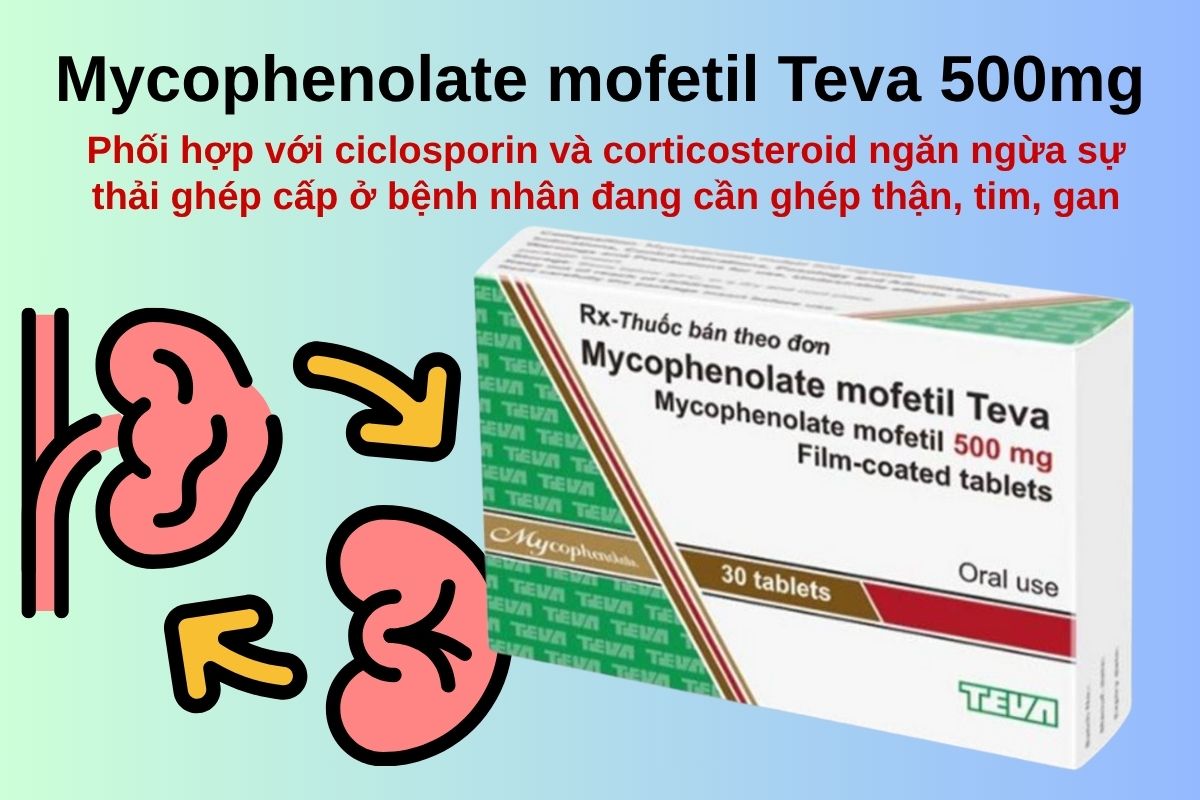 Mycophenolate mofetil Teva 500mg