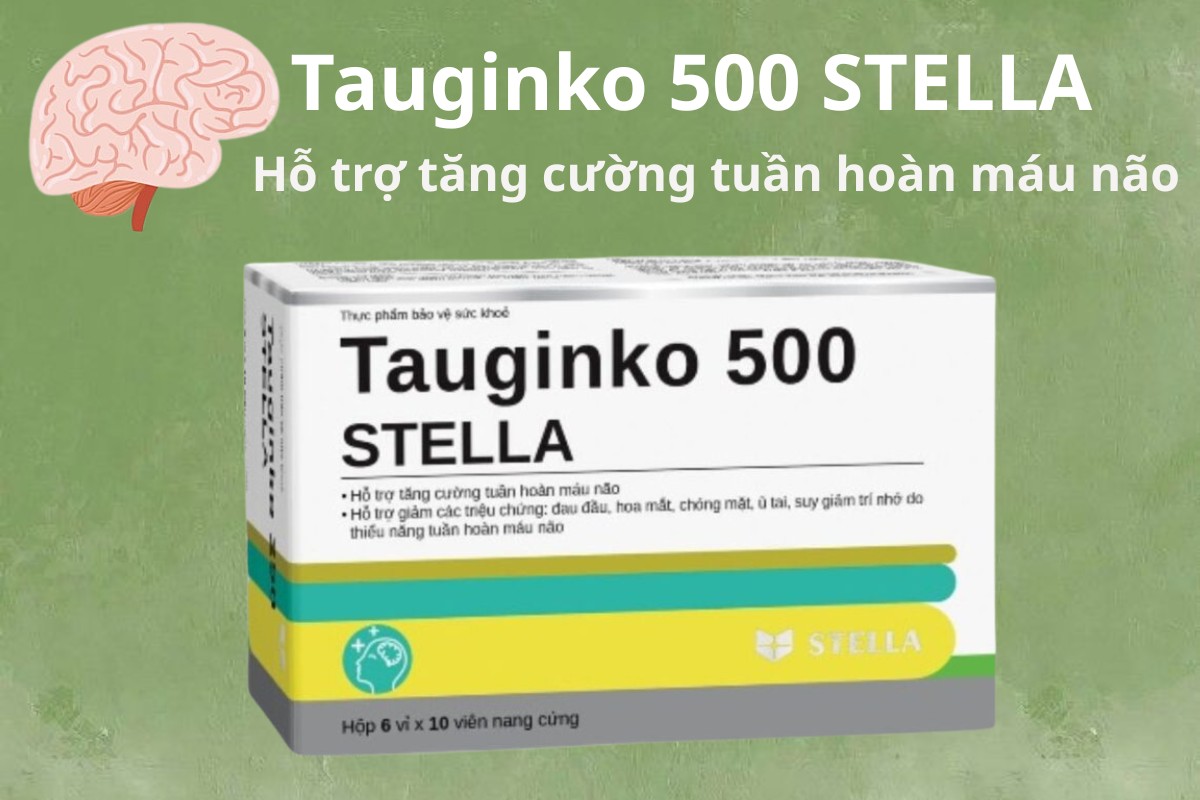 Tauginko 500 STELLA hỗ trợ tăng cường tuần hoàn máu não