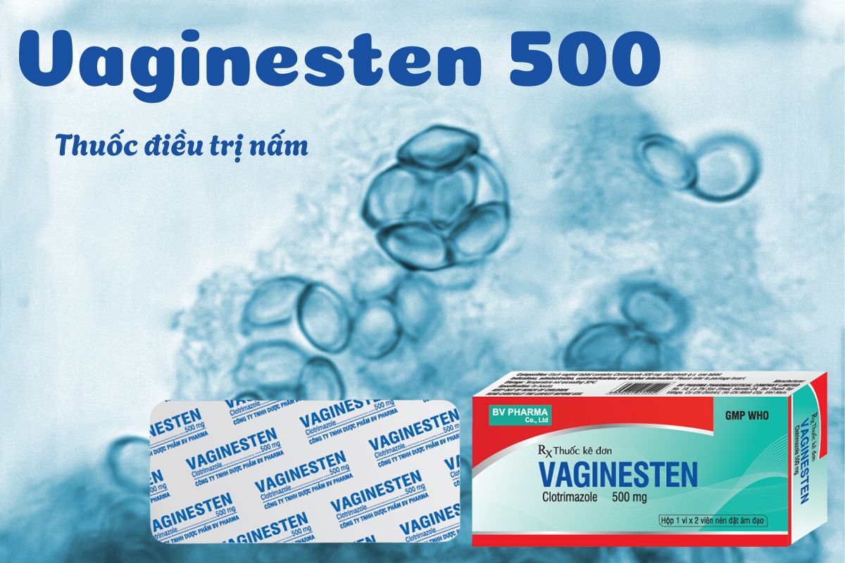 Vaginesten 500