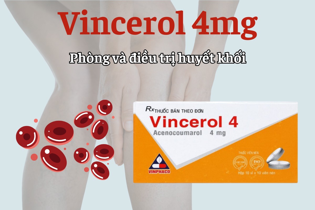 Vincerol 4mg phòng và điều trị huyết khối