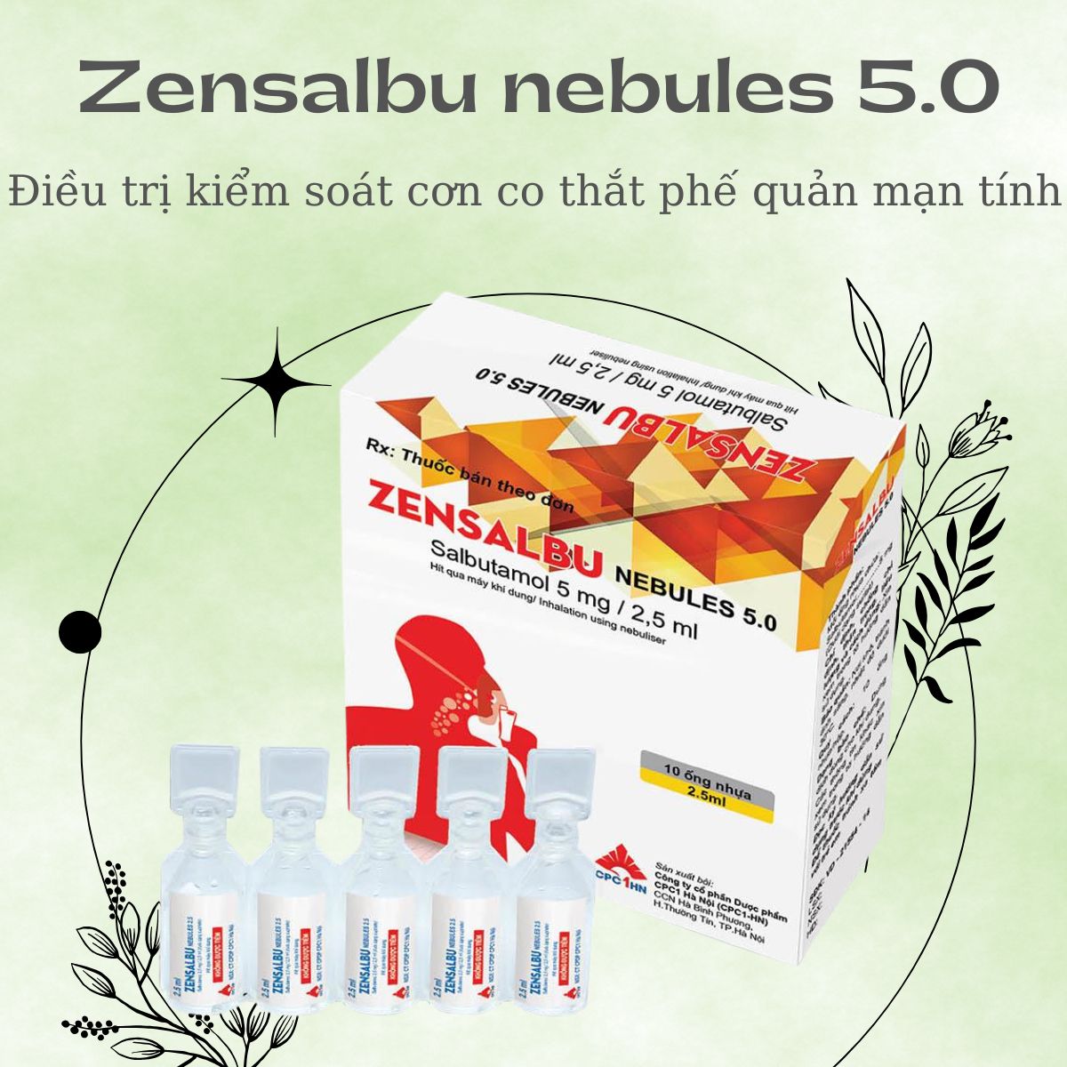 Chỉ định dùng thuốc Zensalbu nebules 5.0
