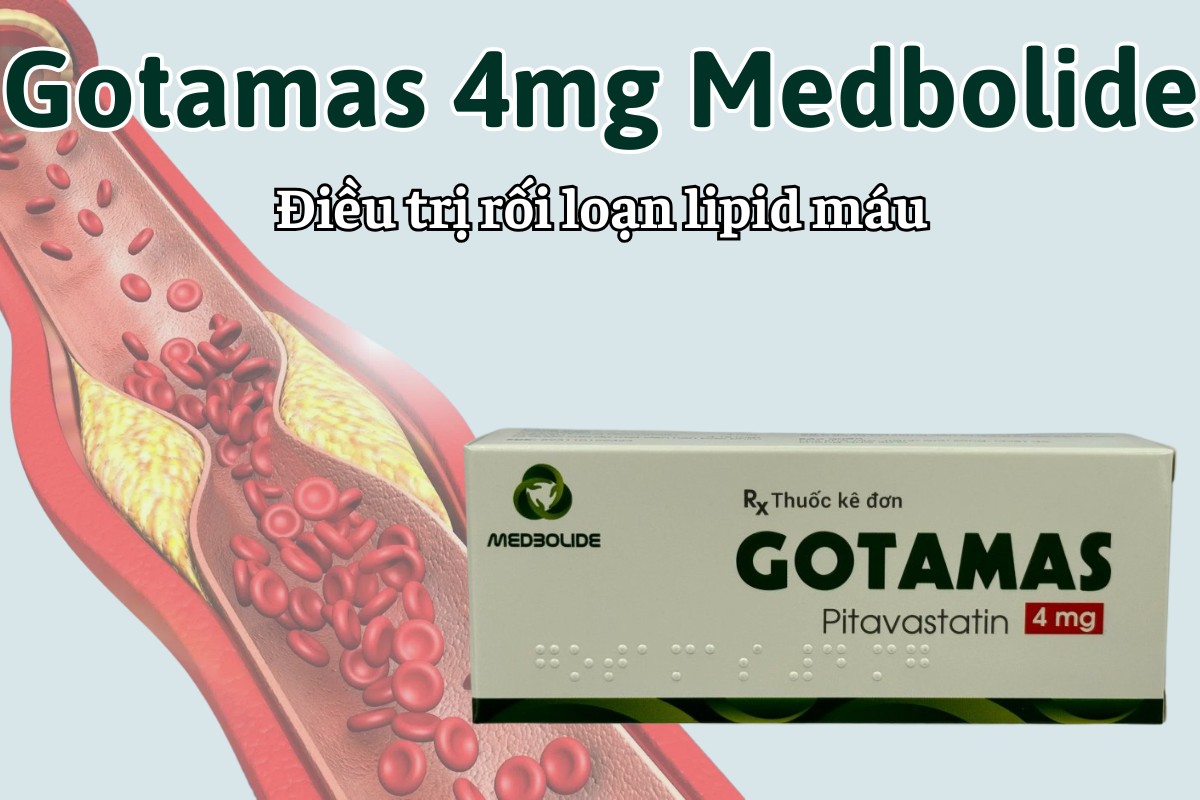 Gotamas 4mg Medbolide 6 Gotamas 4mg Medbolide điều trị rối loạn lipid máu