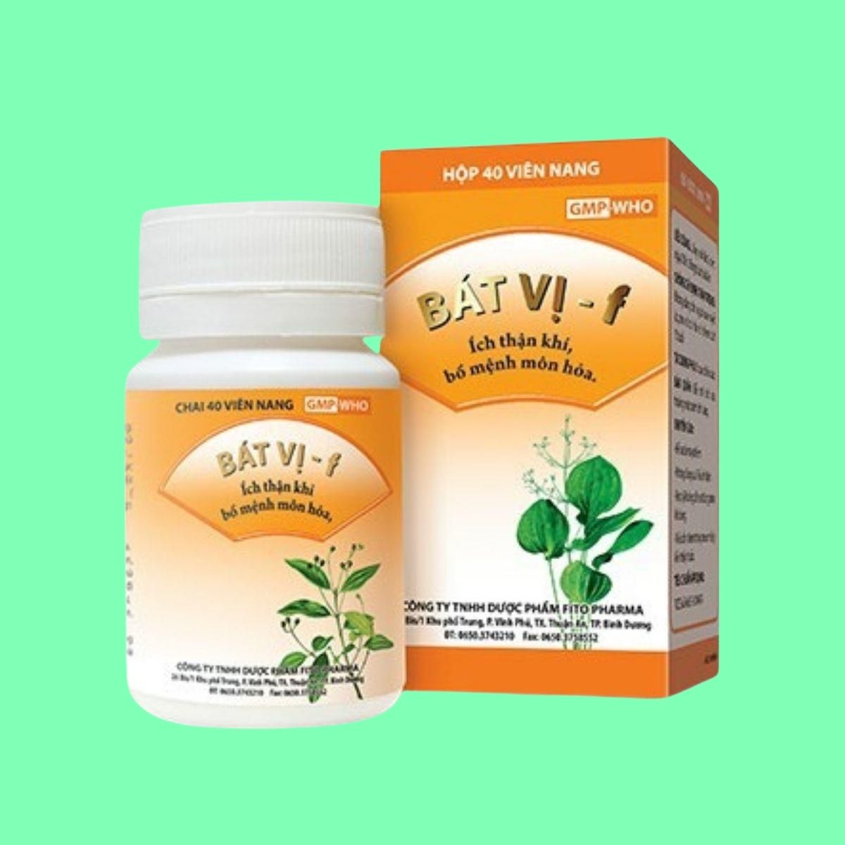 thuoc-bat-vi-f-1 Bát vị - F