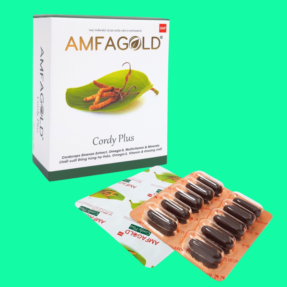 Amfagold Cordy Plus (1) Amfagold Cordy Plus