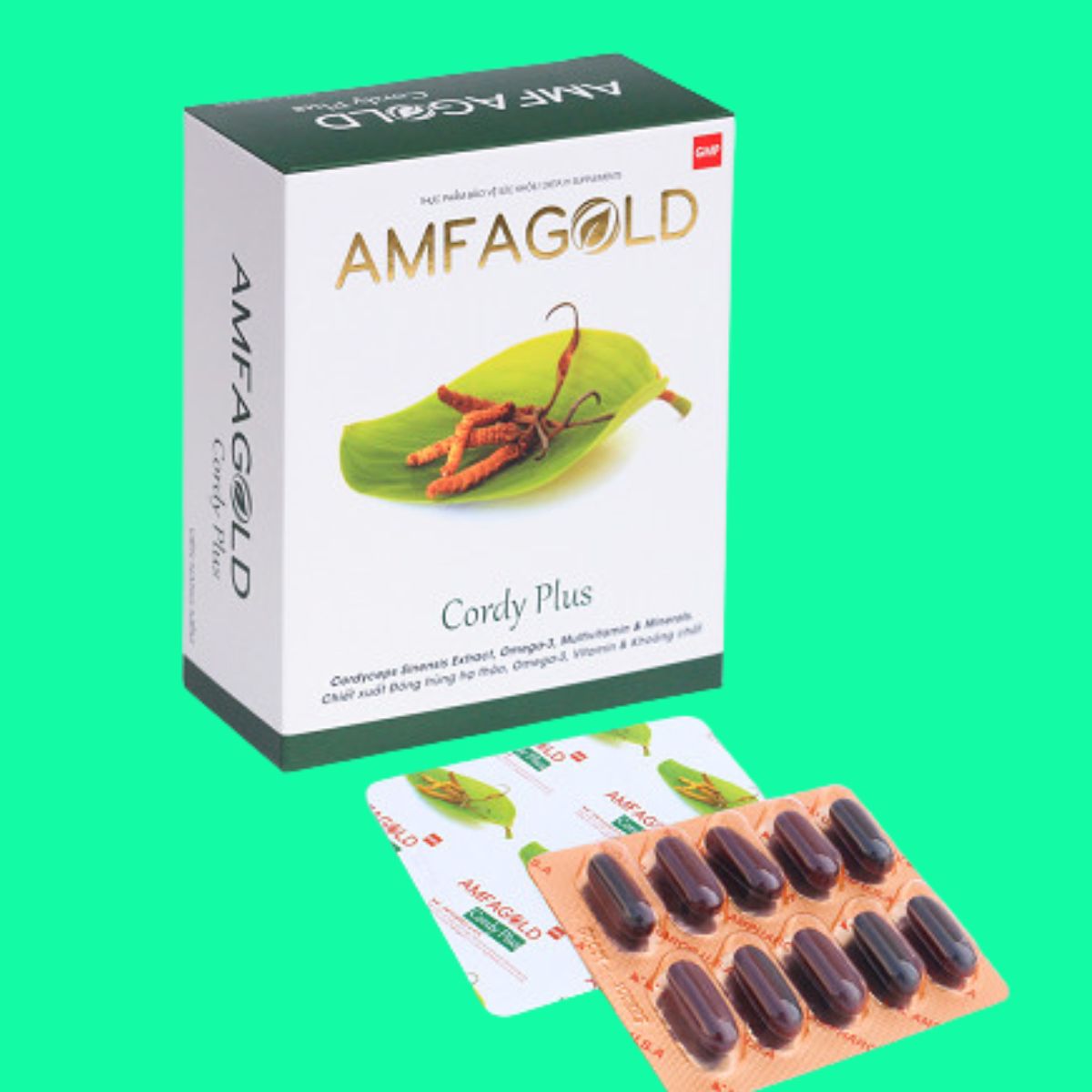 Amfagold Cordy Plus (2) Amfagold Cordy Plus