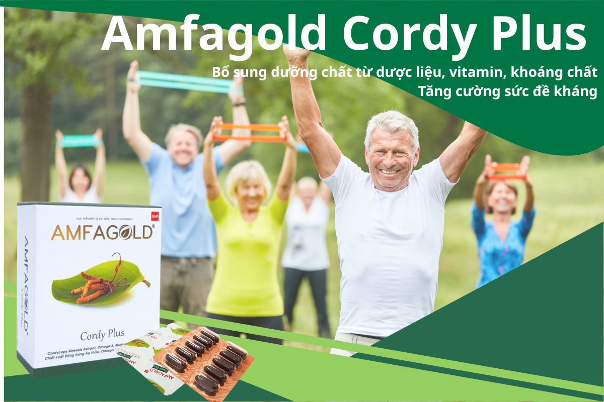 Amfagold Cordy Plus 17 Amfagold Cordy Plus