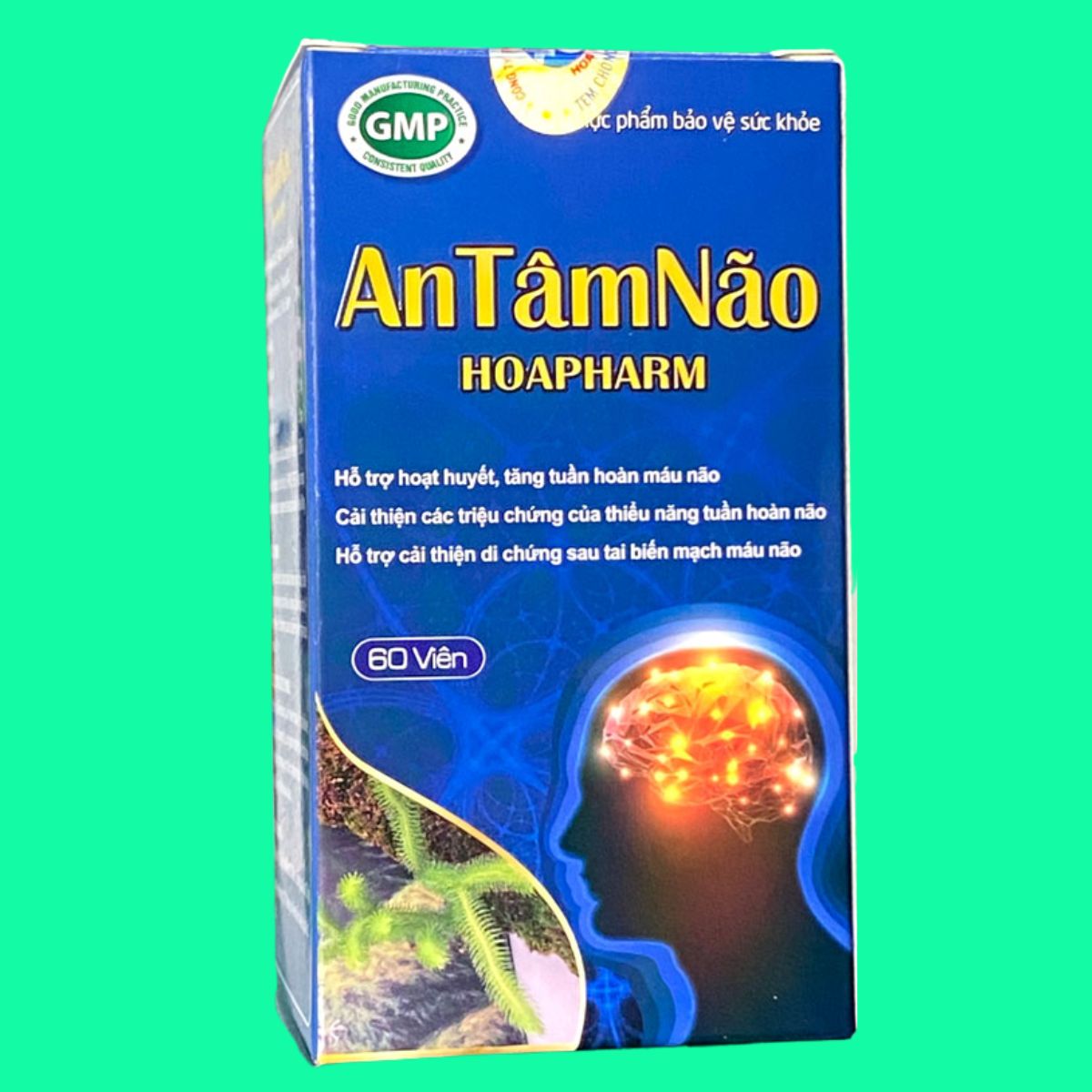 An Tâm Não Hoapharm (3) An Tâm Não Hoapharm