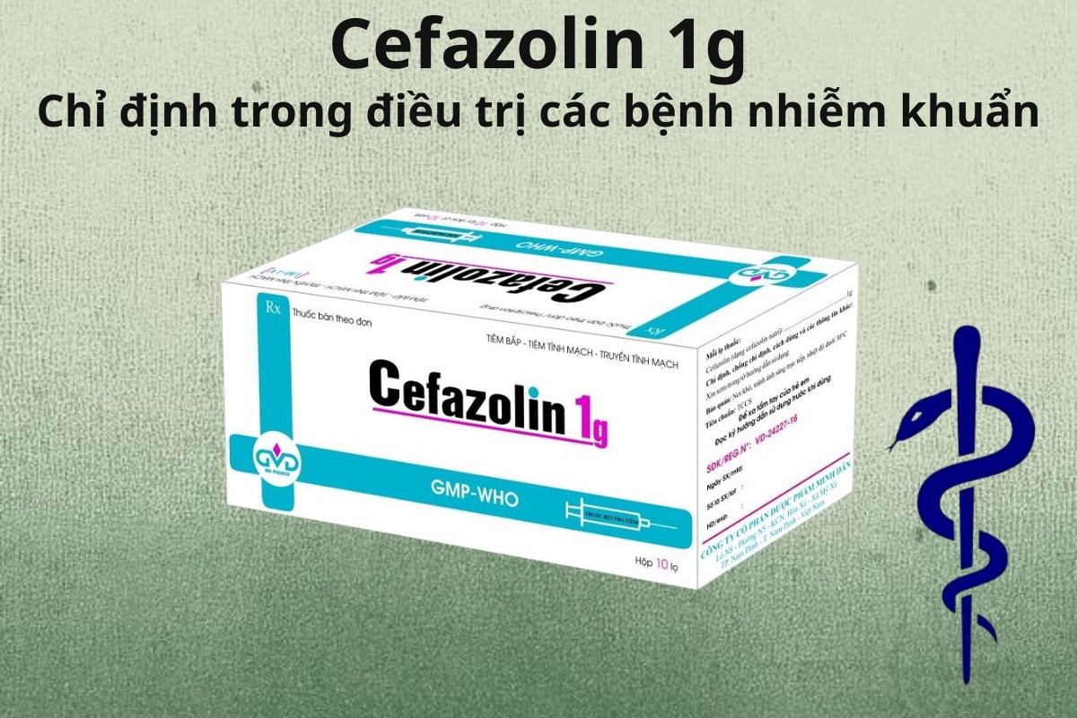 Cefazolin 1g Minh Dân 6 Cefazolin 1g điều trị nhiễm khuẩn