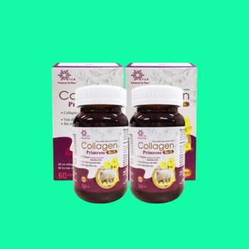 Collagen Primrose Plus+
