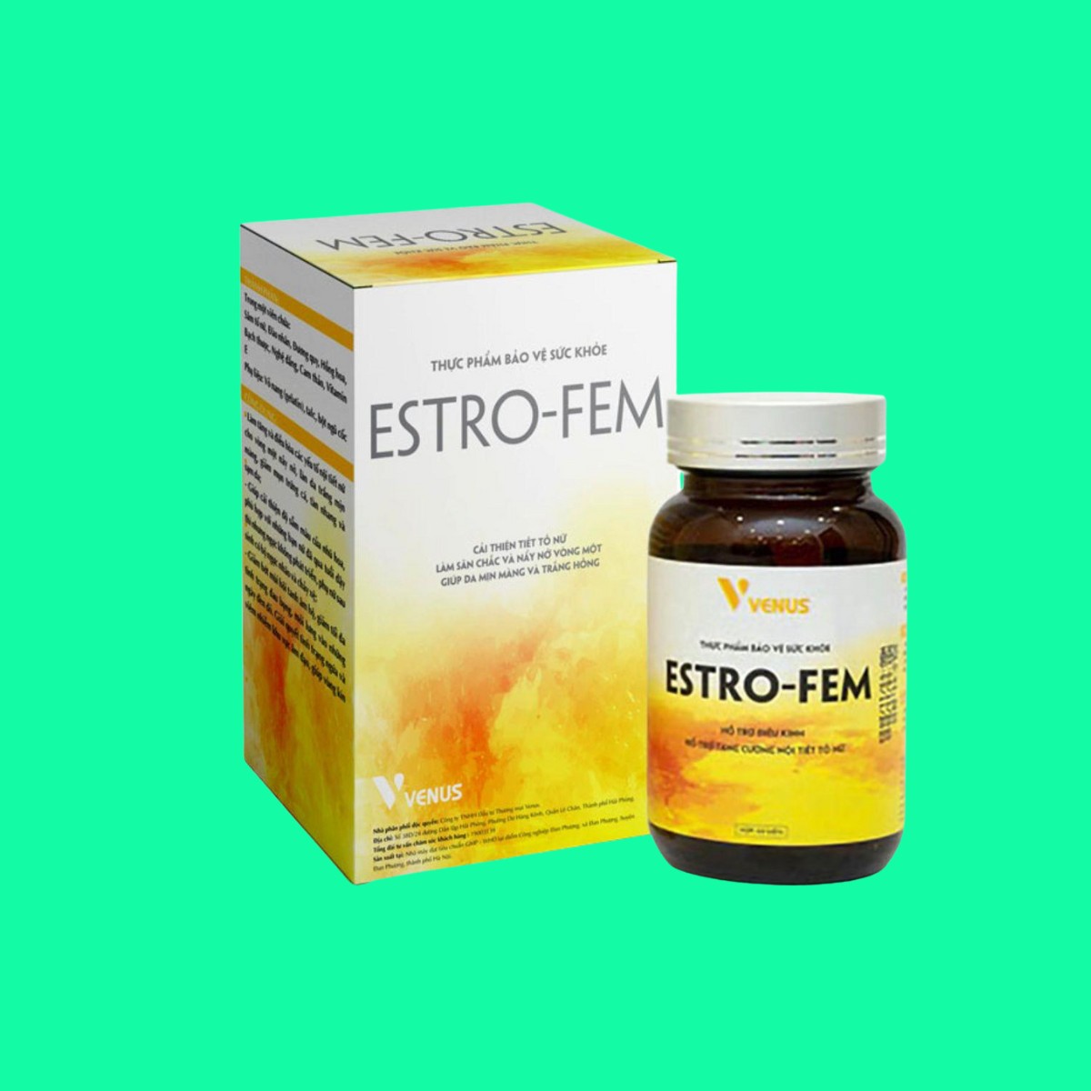 ESTRO-FEM-1 ESTRO-FEM