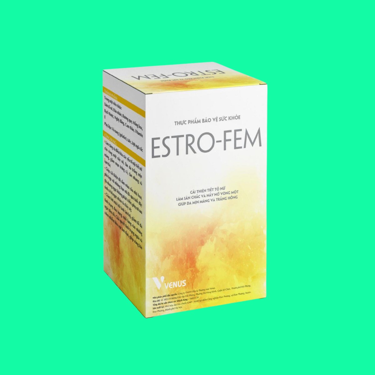 ESTRO-FEM-3 ESTRO-FEM