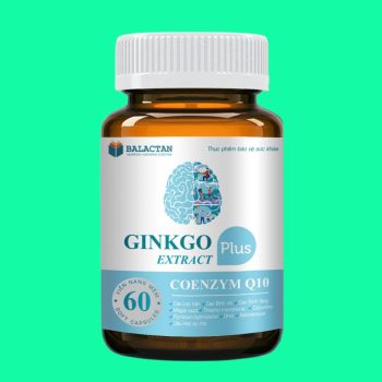 Ginkgo Extract Plus 3 Ginkgo Extract Plus