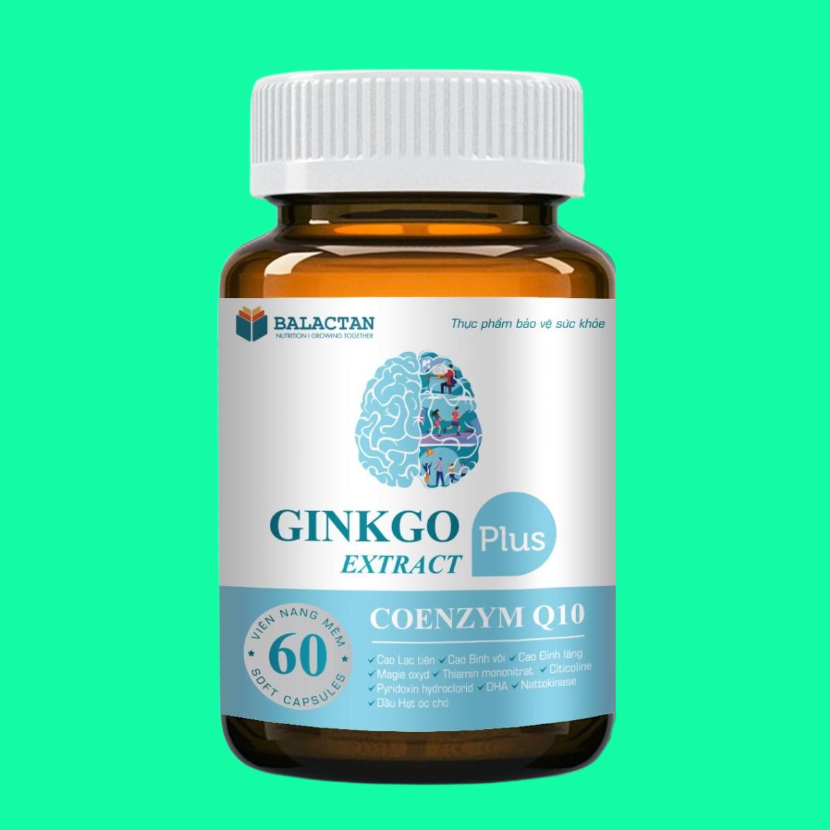 Ginkgo Extract Plus (2) Ginkgo Extract Plus