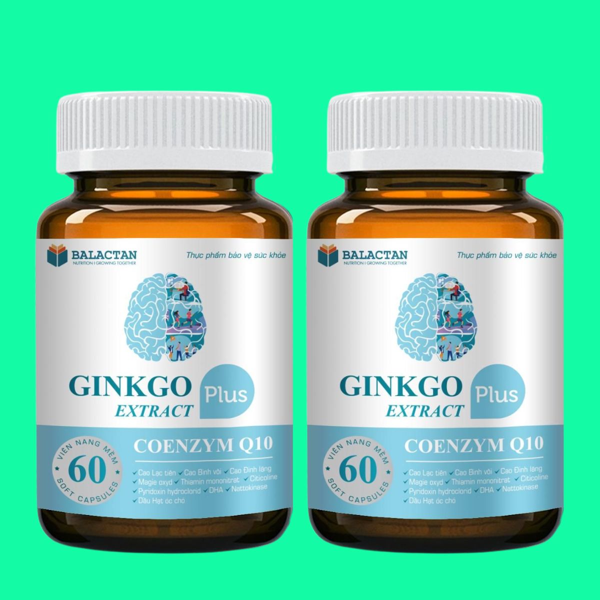 Ginkgo Extract Plus (3) Ginkgo Extract Plus