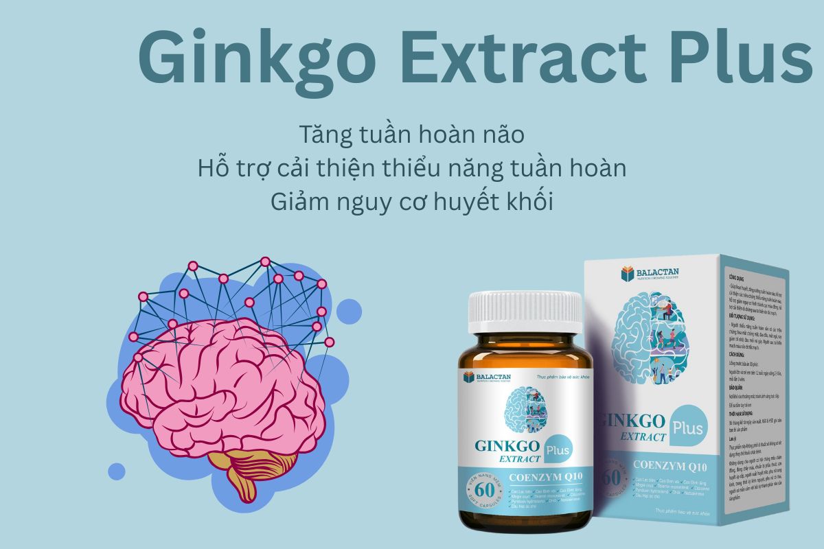 Ginkgo Extract Plus 7 Ginkgo Extract Plus
