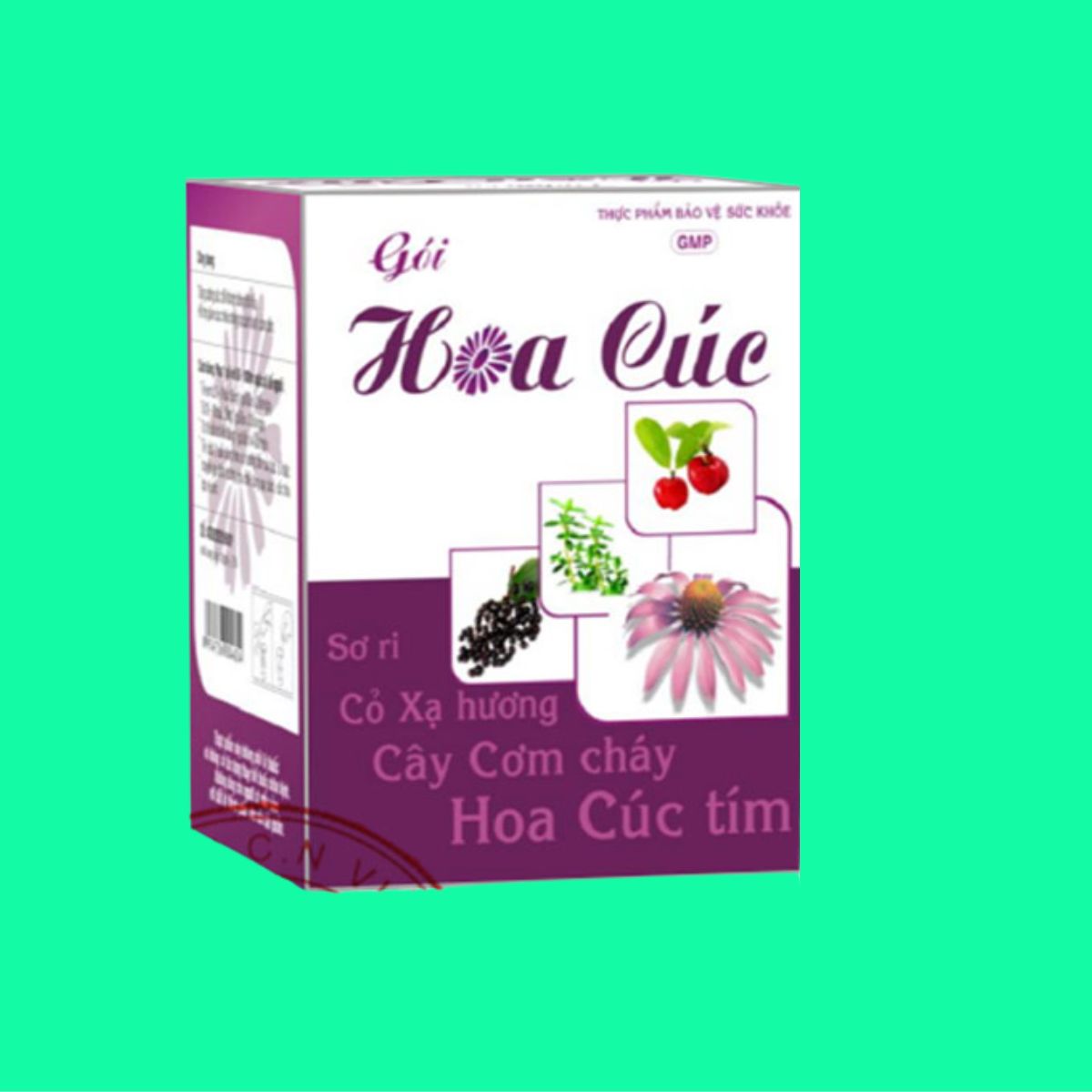 Gói Hoa Cúc Tipharco (1) Gói Hoa Cúc Tipharco