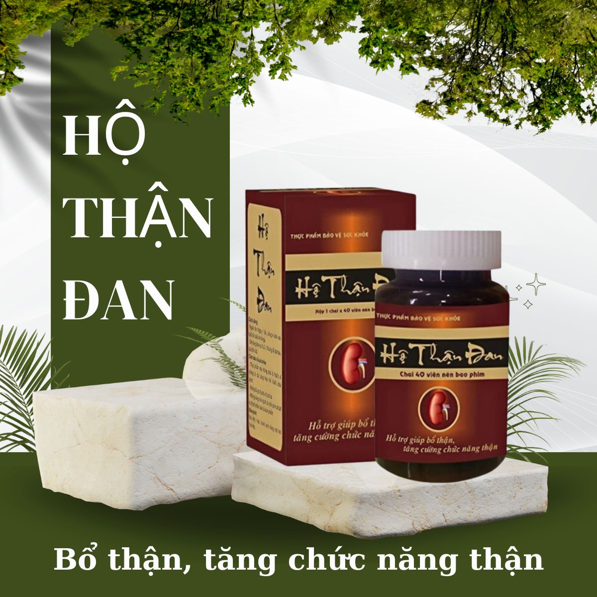 Hộ Thận Đan