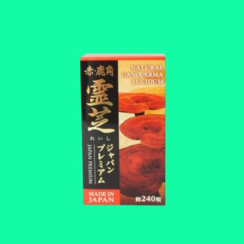 Linh chi sừng hươu đỏ Japan Premium