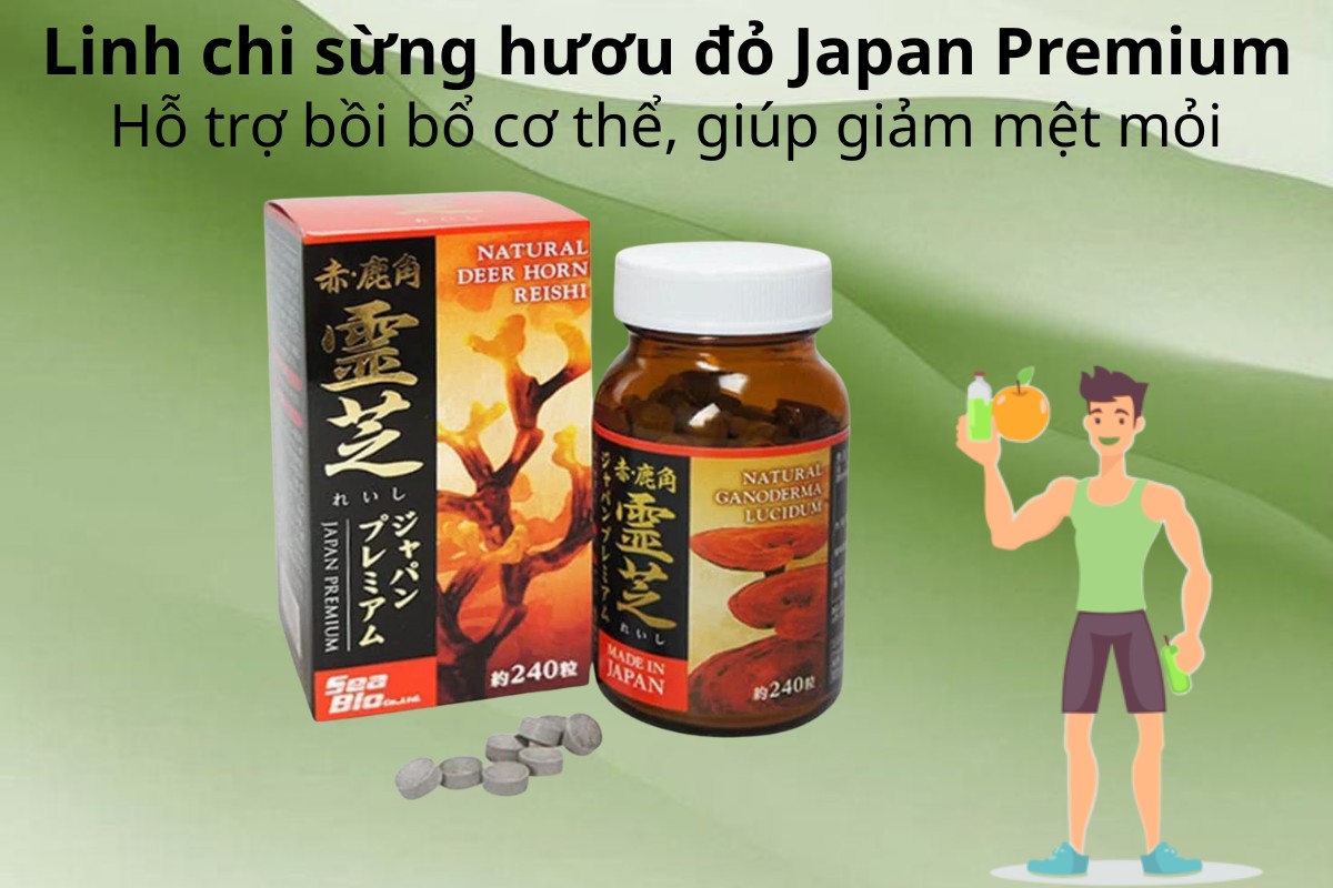 Linh chi sừng hươu đỏ Japan Premium hỗ trợ bồi bổ cơ thể