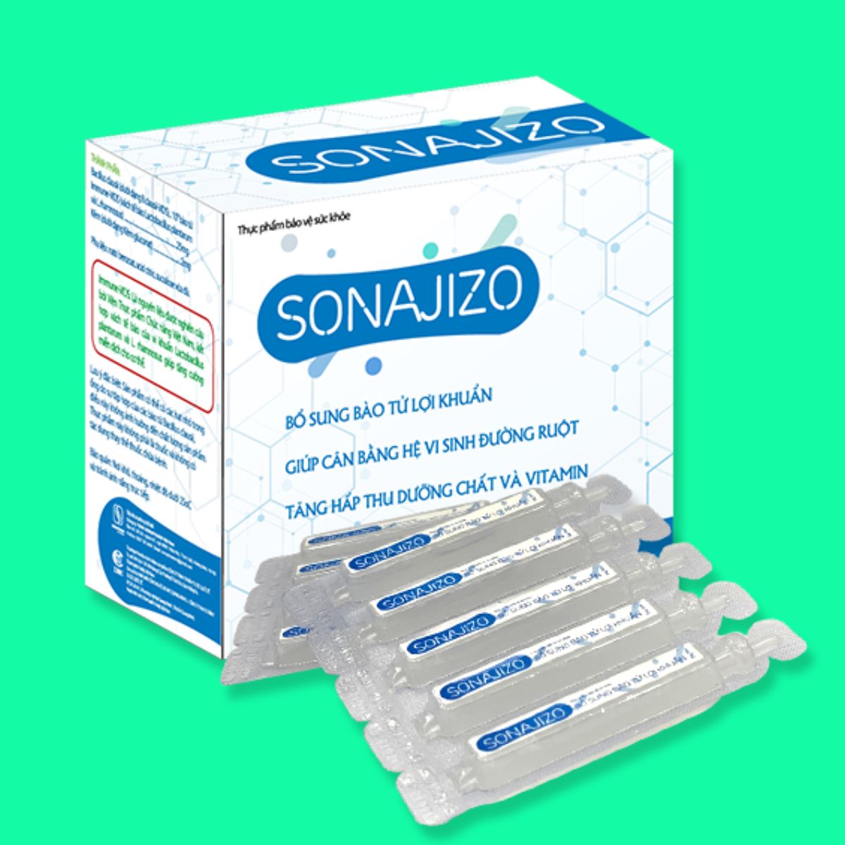 Sonajizo (1) Sonajizo