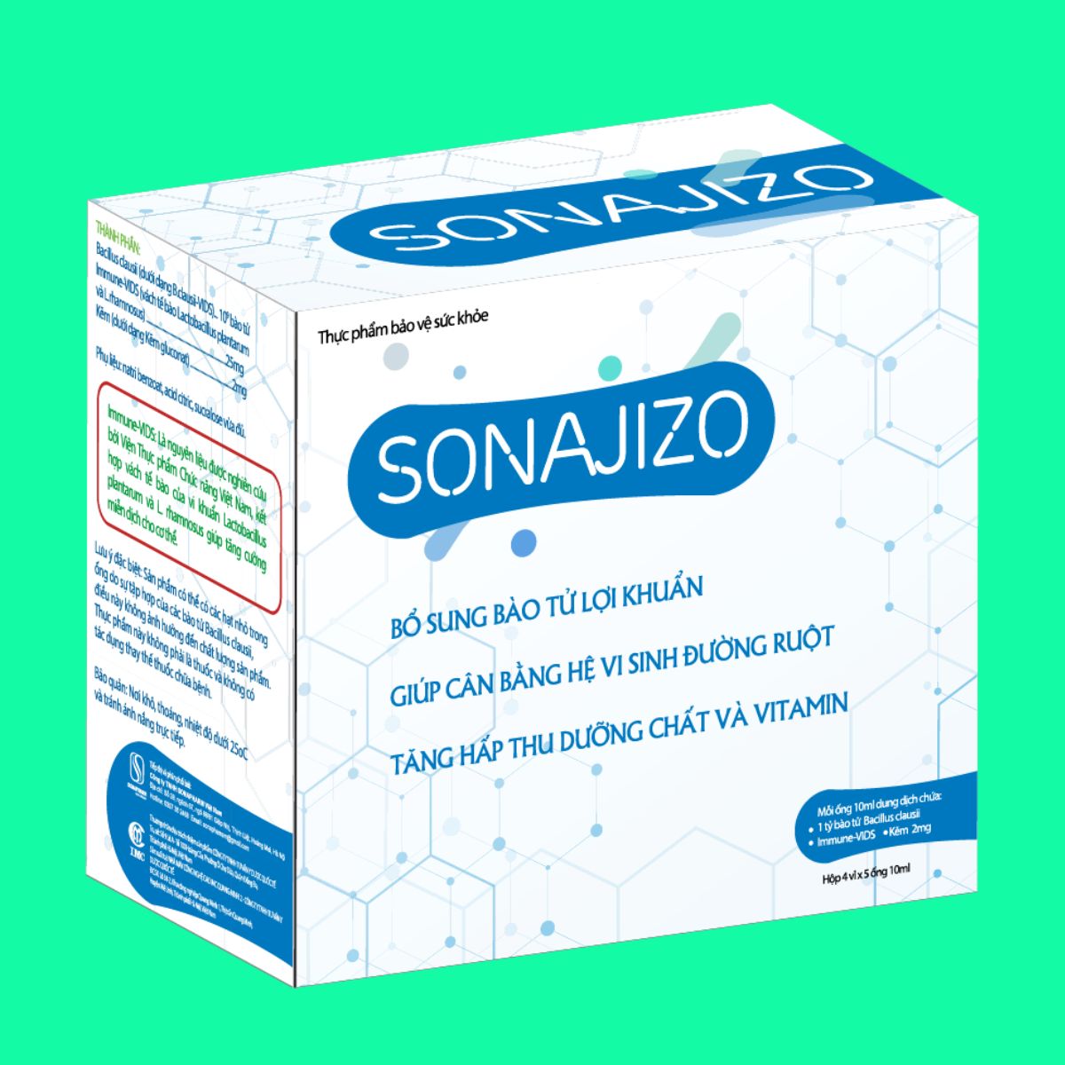 Sonajizo (2) Sonajizo