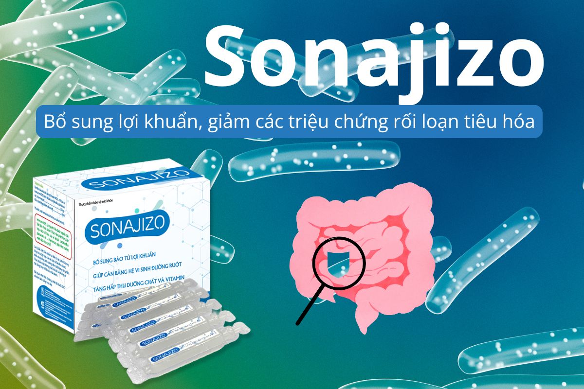Sonajizo 10 Sonajizo