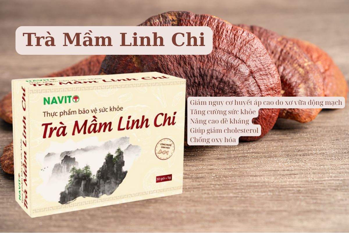 Trà Mầm Linh Chi 6 Trà Mầm Linh Chi