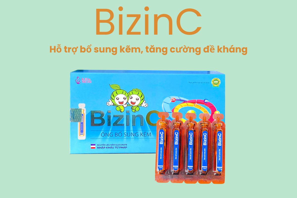 BizinC 8 BizinC