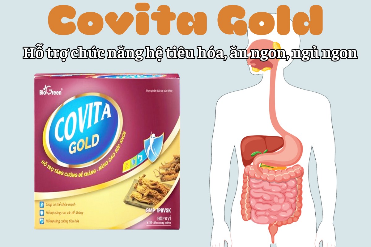 Covita Gold hỗ trợ chức năng hệ tiêu hóa