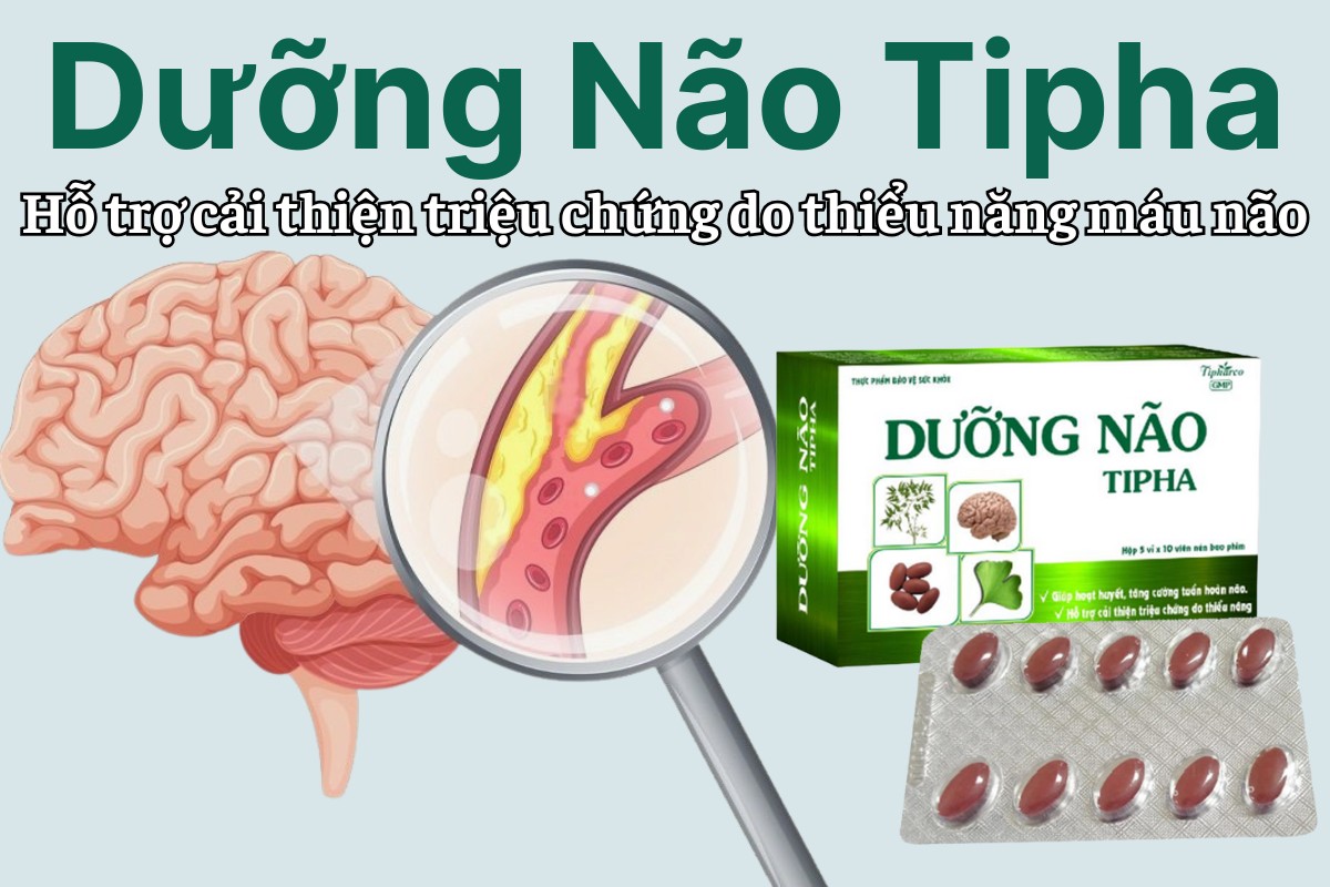 Dưỡng Não Tipha hỗ trợ giảm triệu chứng thiểu năng tuần hoàn máu não