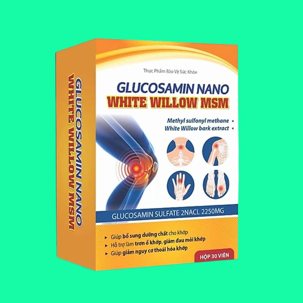 glucosamin-nano-white-willow-msm-1 Glucosamin Nano White Willow MSM