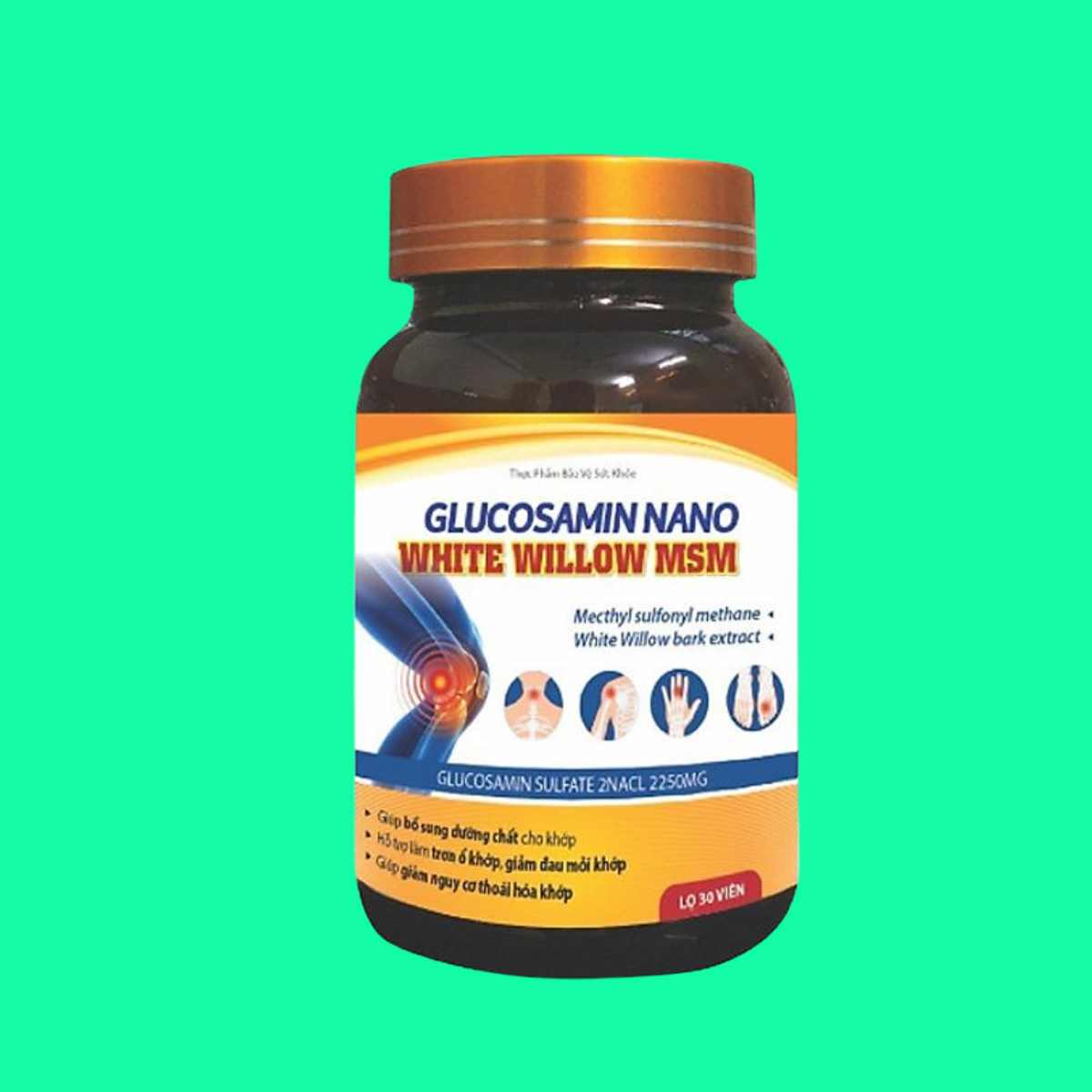 glucosamin-nano-white-willow-msm-2 Glucosamin Nano White Willow MSM