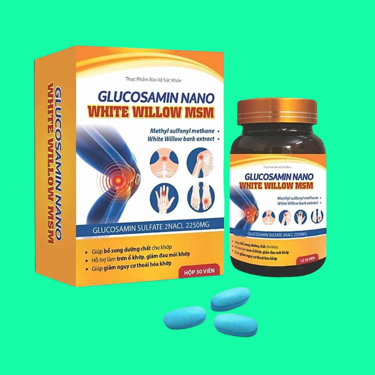 glucosamin-nano-white-willow-msm Glucosamin Nano White Willow MSM