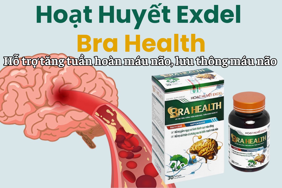 Hoạt Huyết Exdel Bra Health hỗ trợ tăng tuần hoàn máu não