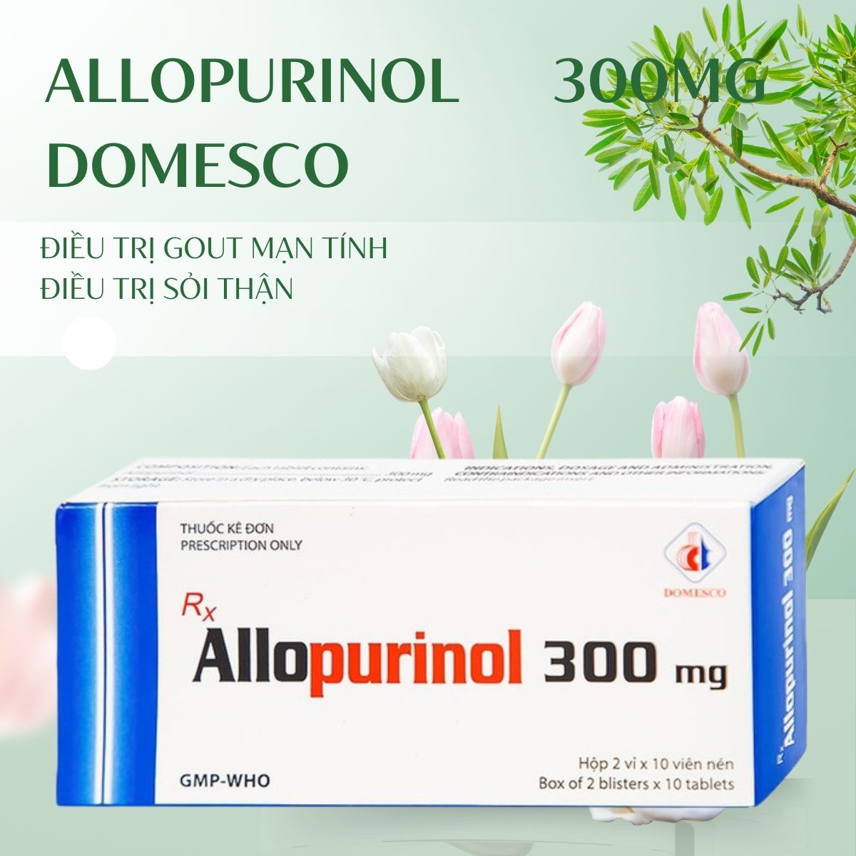 Allopurinol 300mg Domesco 12 Allopurinol 300mg Domesco điều trị Gout mạn tính