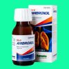 Ambroxol Danapha 10 Ambroxol Danapha