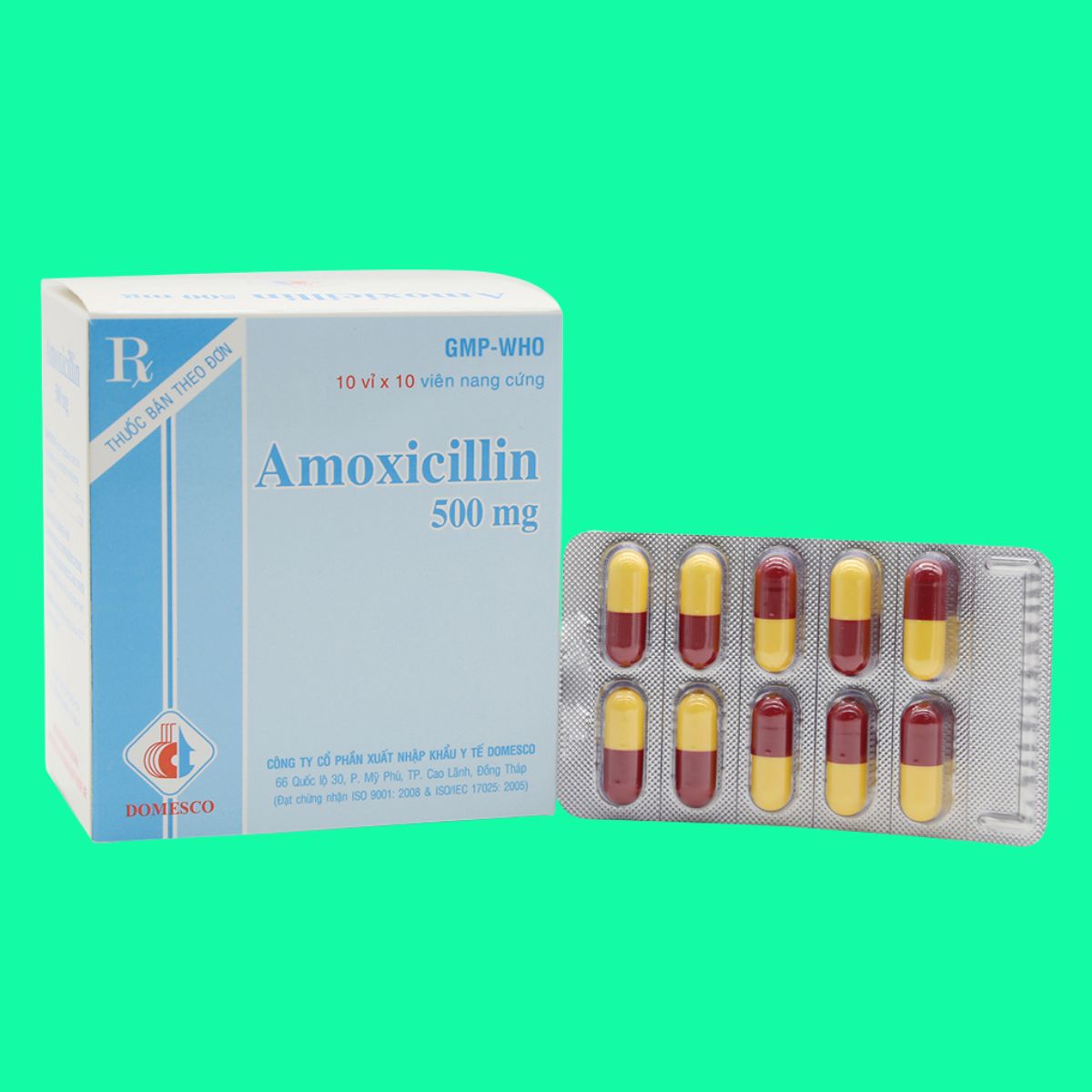 Amoxicillin 500mg Domesco (1) Amoxicillin 500mg Domesco